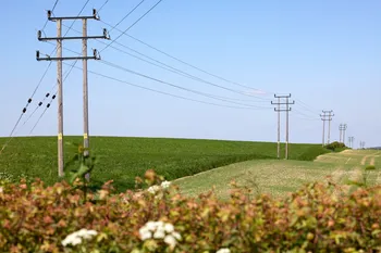 Power line fields.jpg